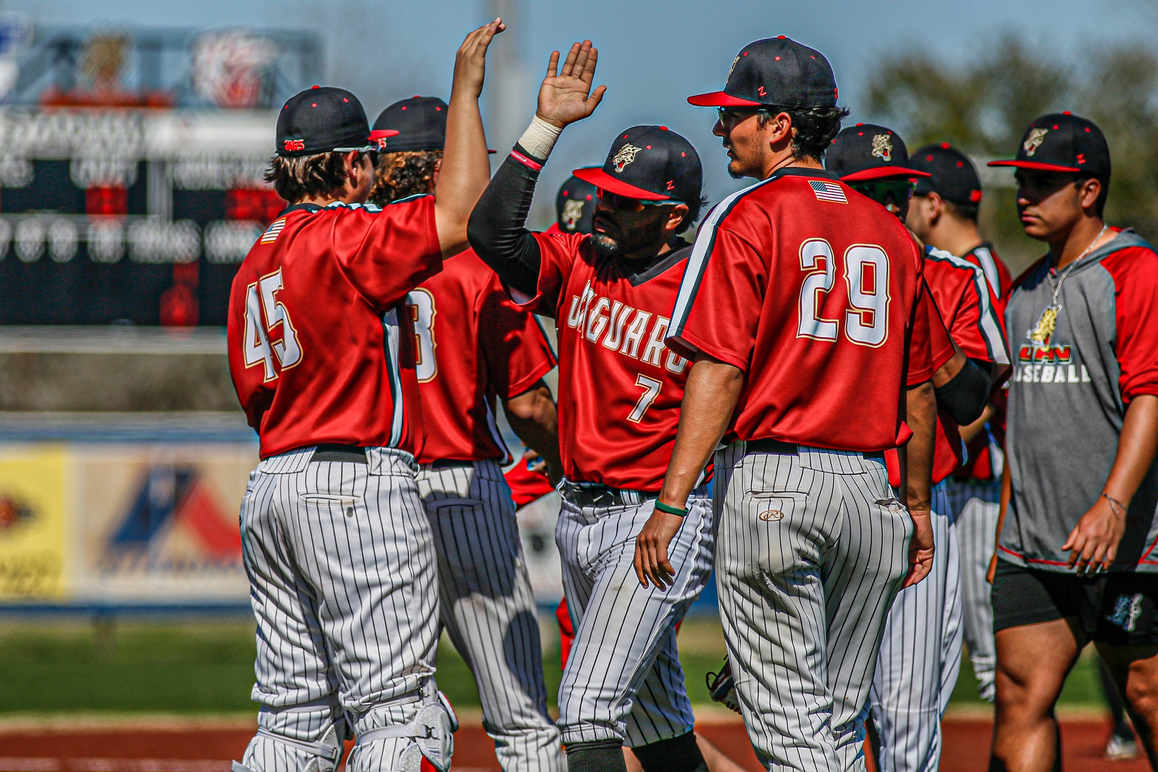 UHV's Jose Montanez (7) gives high fives to teammates during a game against Mid-America Christian University on Feb. 3, 2024. (Estelle Flanagan/UHV Athletics)